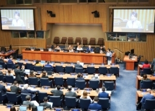 © Ministry of Foreign Affairs of Japan